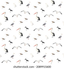 Seamless pattern with sea birds seagulls, pelicans and sandpipers, wildlife watercolor print isolated on white background for textile, wallpapers or wrapping paper.