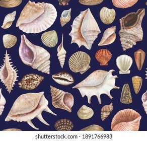 Coque Coquillage Hd Stock Images Shutterstock