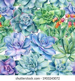 Seamless pattern with succulents plants , watercolor illustration