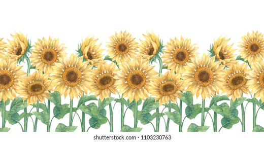 Seamless pattern with sunflower. Watercolor hand drawn illustration