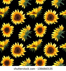 Seamless pattern with sunflowers on black background. Collection decorative floral design elements. Flowers, buds, and leaves hand drawn with watercolor.
