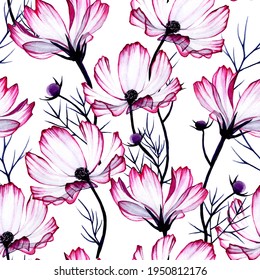 seamless pattern and transparent watercolor flowers cosmos  chamomile flowers white background  beautiful print for fabric  wallpaper  wrapping paper  scrapbooking and pink wildflowers