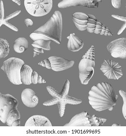 Seamless pattern with underwater life objects - gray sea shells, marine starfish. Watercolor hand drawn painting illustration isolated on grey background.