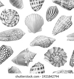331 366件の Mollusk の画像 写真素材 ベクター画像 Shutterstock