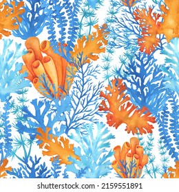 Seamless pattern with a underwater life objects blue and orange sea plants. Illustrations of tropical aquarium seaweed. Marine aquarium flora design. Hand drawn watercolor painting on white background