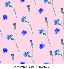 Seamless pattern of watercolor blue cornflowers. Botanical cute flower print on a pink isolated background. Design for textiles, social networks, packages, card, wall-paper, wrapping paper.