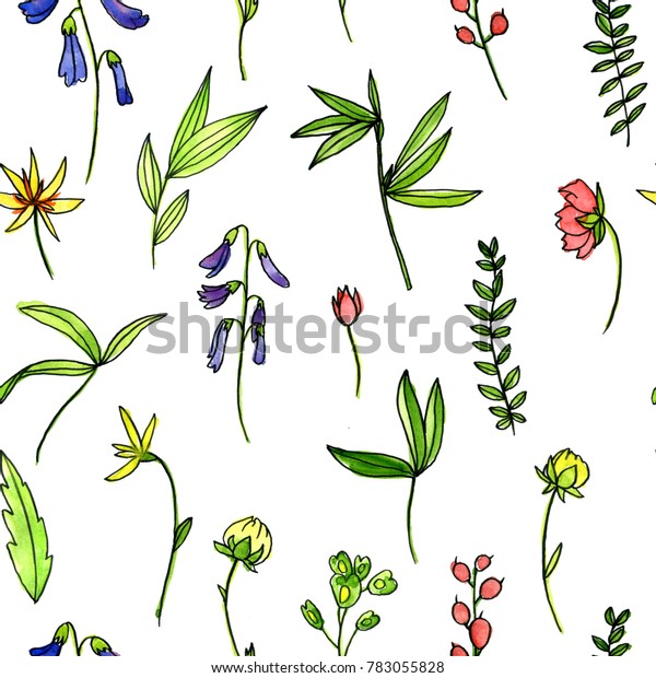 Download Seamless Pattern Watercolor Doodle Plants Flowers Stock Illustration 783055828