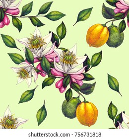 seamless pattern of watercolor illustration of flowers and bergamot fruits
