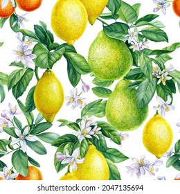 seamless pattern, watercolor mandarin on a branch, lemon, bergamot, citrus leaves and flowers, botanical painting
