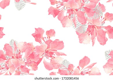 Flamboyant Flower Watercolor High Res Stock Images Shutterstock