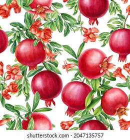 seamless pattern, watercolor pomegranate, botanical painting
