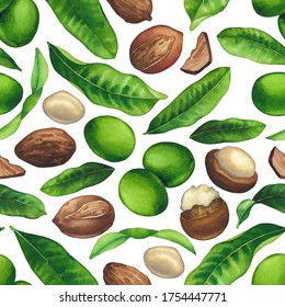 Seamless Pattern Of Watercolor Shea Plants. Hand Painted Repeated Botanical Design