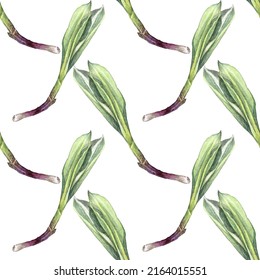 Seamless Pattern Watercolor Wild Garlic For Salad On White Background. Hand Drawn Green And Purple Spicy Vitamin Food For Health. Plant Ramson For Kitchen Cookbook. Art For Cafe Menu, Wallpaper.