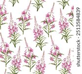 seamless pattern with willowherb, fireweed, field flowers, watercolor drawing wild plants at white background, floral ornament, hand drawn botanical illustration