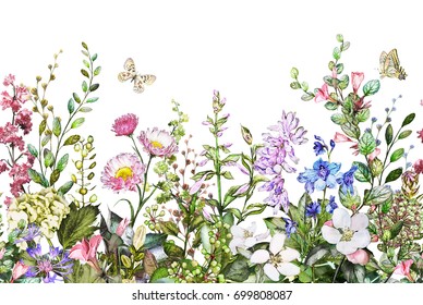 seamless rim. Border with Herbs and wild flowers, leaves. Botanical Illustration on white background. Spring composition with butterfly, botanic, watercolor drawing