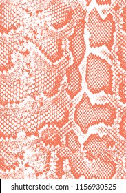 Seamless; Snake Skin Texture Pattern Coral And Peachy Colors  Snake