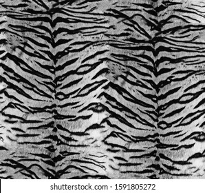 Seamless, Tiger Skin Black White Print. Wild Pattern.