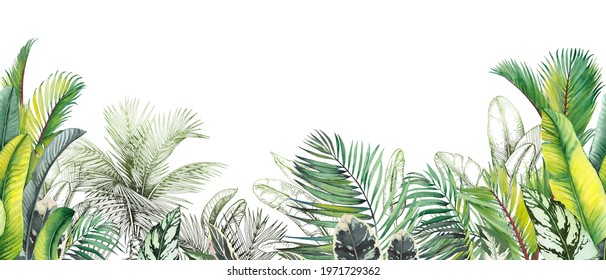 Seamless tropical border with green palm leaves and trees.