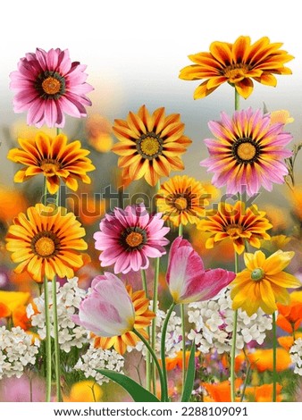 Similar – Image, Stock Photo sea of marigold blossoms