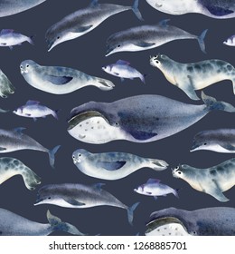 Seamless watercolor pattern about sea fauna  marine animal  Gray dolphin  whale  fish   seal dark background
