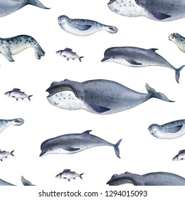 Seamless watercolor pattern about sea fauna  marine animal  Gray dolphin  whale  fish   seal white background
