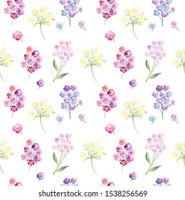 Seamless Watercolor Pattern With Verbena Flowers