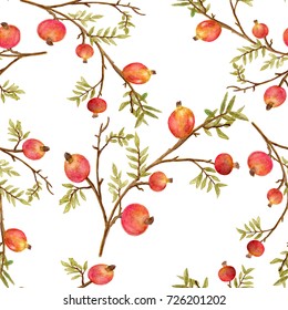 Seamless watercolor pomegranate pattern, botanical background, branch with green leaves and fruits.