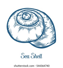 Nautilus Shell Drawing Images Stock Photos Vectors Shutterstock