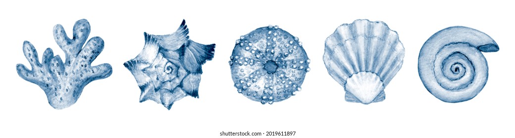 Seashell set watercolor illustration. Watercolour hand drawn sea shells isolated on white background. Marine blue navy underwater elements design. Print for greeting card, wallpaper, fabric, banner.