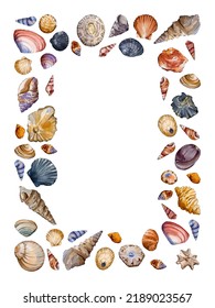 Seashell Watercolor Sea Frames Illustration Isolated Stock Illustration ...