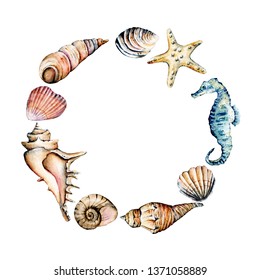 Seashells Marine Frame Border Watercolor Seahorse Stock Illustration ...