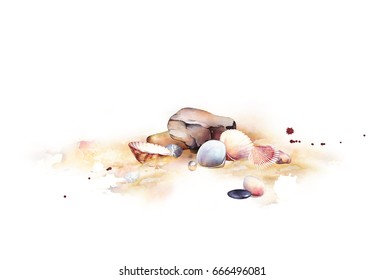 Seashells On The Beach. Artwork Made By A Watercolor