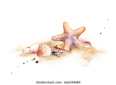  Seashells On The Beach. Watercolor Illustration