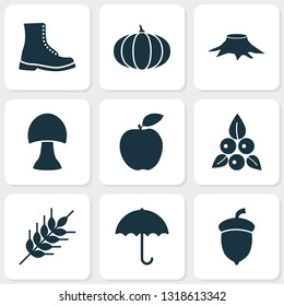 Seasonal Icons Set With Pumpkin, Stump, Wheat And Other Shoe Elements. Isolated  Illustration Seasonal Icons.