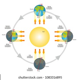Seasons of earth. Position of the globe in winter, spring, summer and fall.
