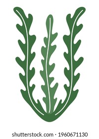 Seaweed Spirulina Logo Icon On White Background