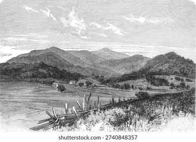 A section of the Balsam Mountain range in the southeastern Appalachian Mountains, showing forested slopes, elevation changes, and the characteristic biodiversity of this temperate rainforest region, old vintage illustration, 1899.