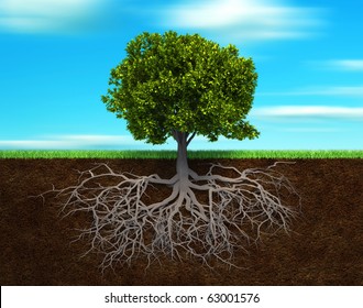 Section in soil showing the root of a tree - 3d render illustration