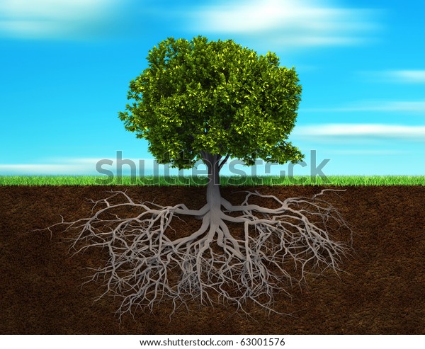木の根を示す土の断面 3dレンダリングイラスト のイラスト素材