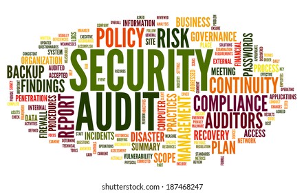 Security Audit  In Word Tag Cloud On White