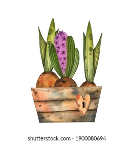 Seedling hyacinth burgeon spring flowers hand drawn watercolor clip art illustration isolated on white. Rusty vintage heart shaped lock on a wooden box. - Powered by Shutterstock