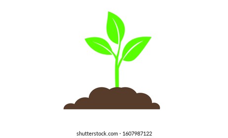 Seedling icon. Plant symbol. Sprout from the ground. Flat style	 - Shutterstock ID 1607987122