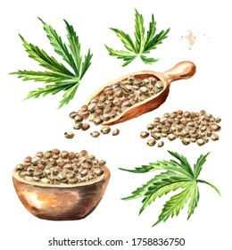 Seeds of hemp, cannabis sativa, medicinal herb plant, marijuana set. Hand drawn watercolor illustration isolated on white background