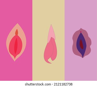 Different Types Of Clitoris