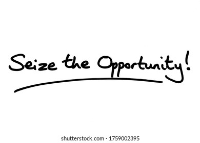 Seize The Opportunity! Handwritten On A White Background.