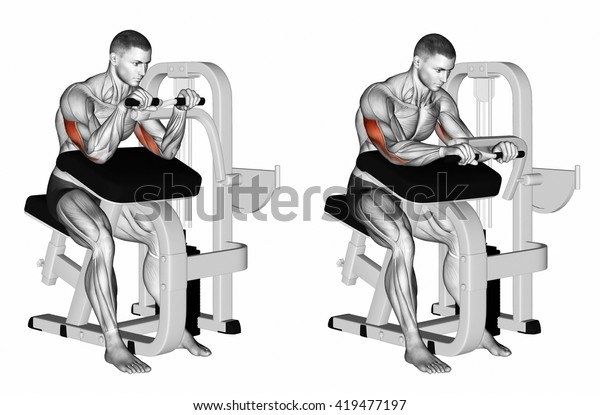 Selectorized Triceps Extension 3d Illustration Stock Illustration ...