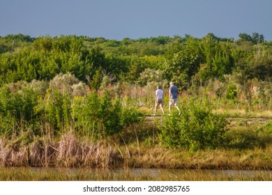 Senior Woman And Man Hike Along A Nature Trail In A Coastal Preserve On A Sunny Afternoon In Southwest Florida. Digital Oil-painting Effect, 3D Rendering.