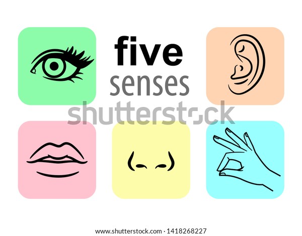 Senses Icons Five Human Illustrative Senses Stock Illustration Shutterstock