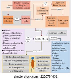 Septic Shock Is Associated With Body Infections And Seriously Decreased Blood Pressure