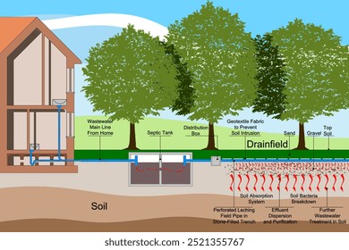 SEPTIC SYSTEM CONCEPT ILLUSTRATION - Septic drain fields, also called leach fields or leach drains are subsurface wastewater disposal facilities